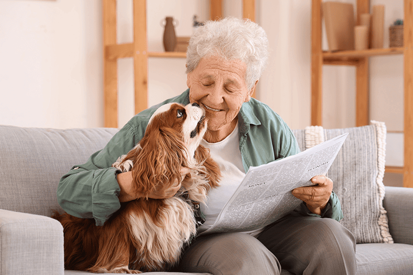 senior-woman-cute-cavalier-king-charles-spaniel-dog
