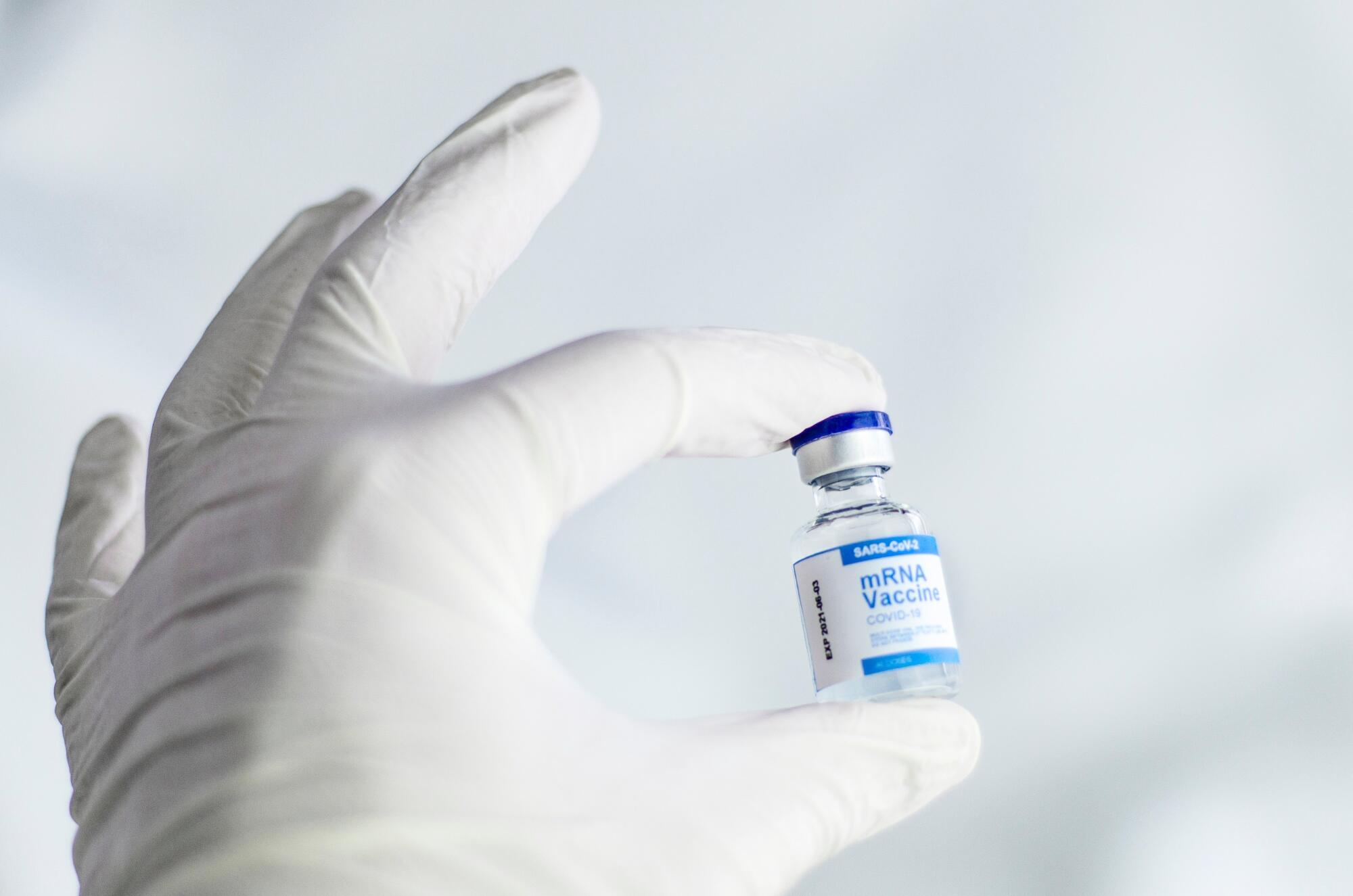 National Immunization Awareness Month: What Redding Seniors Should Know