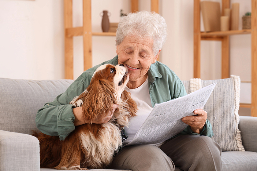 senior-woman-cute-cavalier-king-charles-spaniel-dog