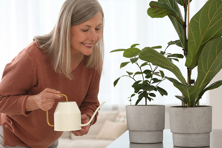 senior-woman-watering-beautiful-potted-houseplants